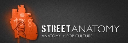street anatomy logo